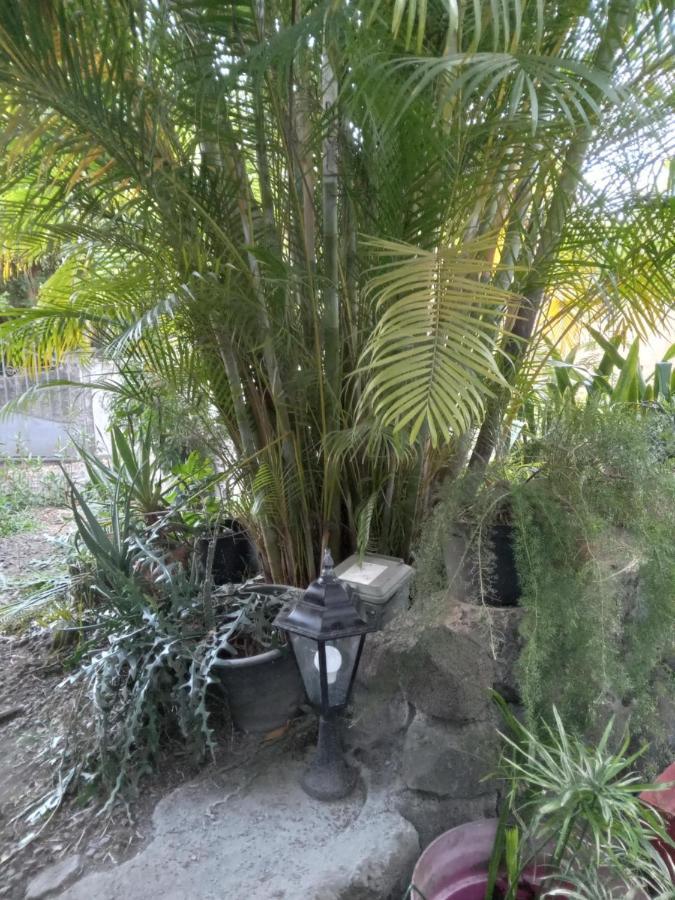 Willa Le Jardin Saint-Leu Zewnętrze zdjęcie