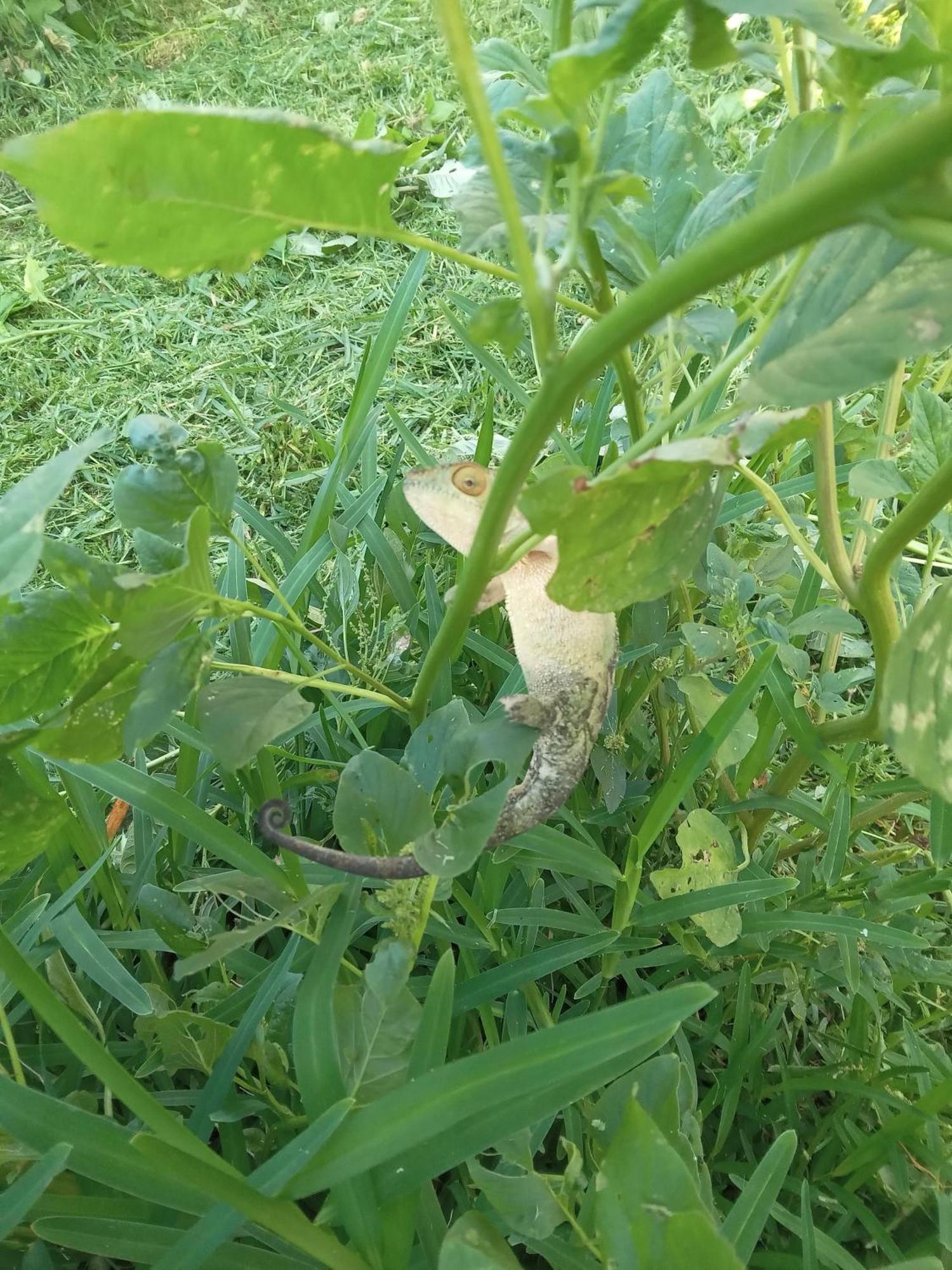 Willa Le Jardin Saint-Leu Zewnętrze zdjęcie